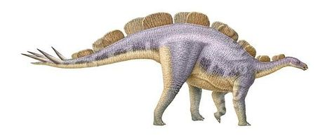 Wuerhosaur.png