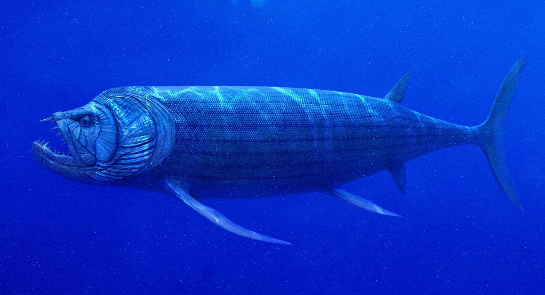 Xiphactinus_CGI.jpg