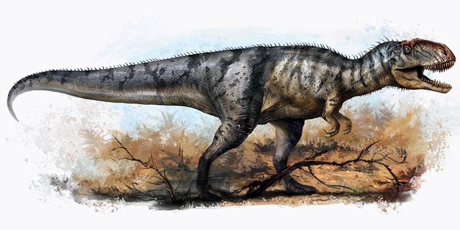 Yangchuanosaurus.jpg