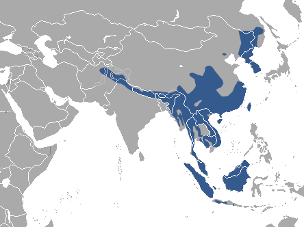 Yellow-throated_Marten_area.png