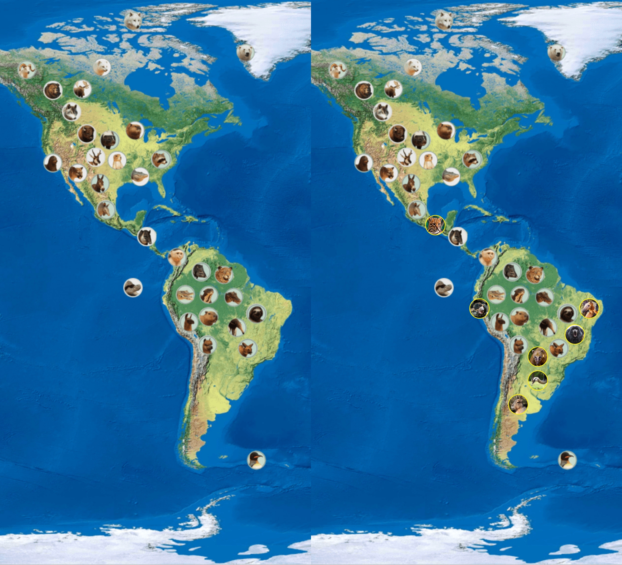 yoav_r planet zoo map updated.jpg