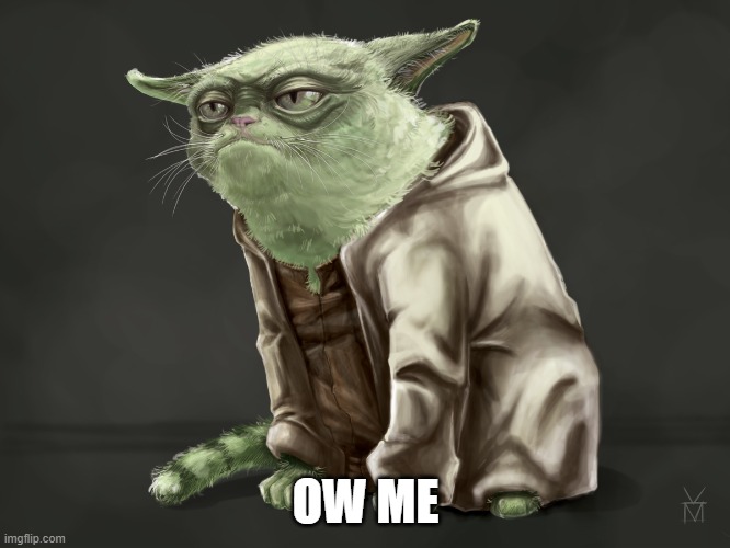 yodacat.jpg