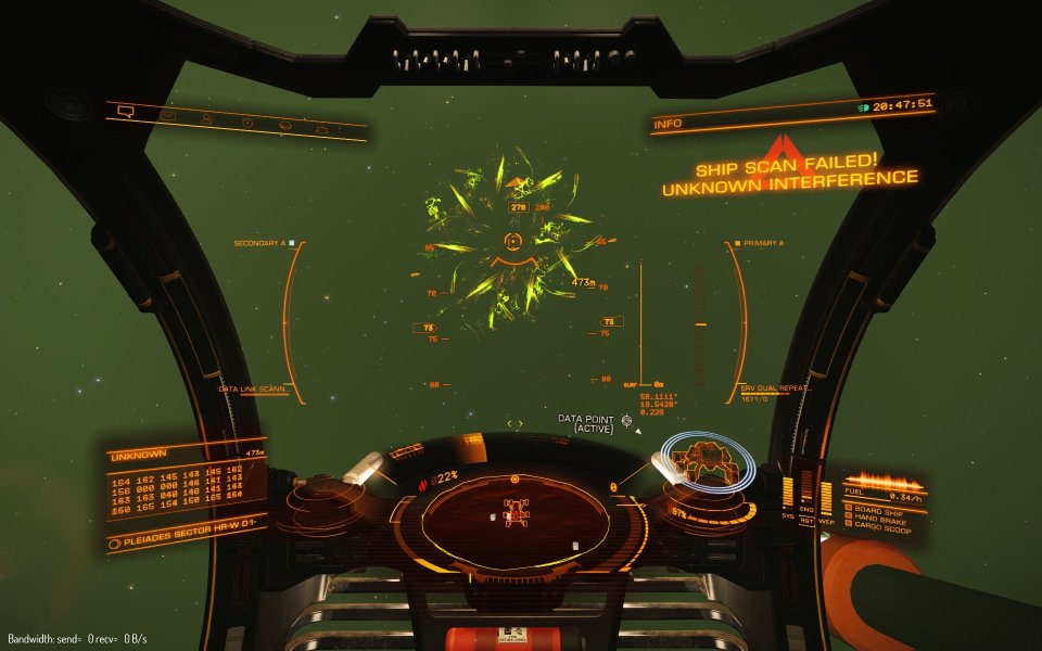 z02 Uh oh- visitor! small.jpg