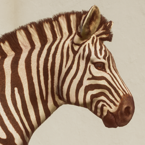 Zebra Avatar.png