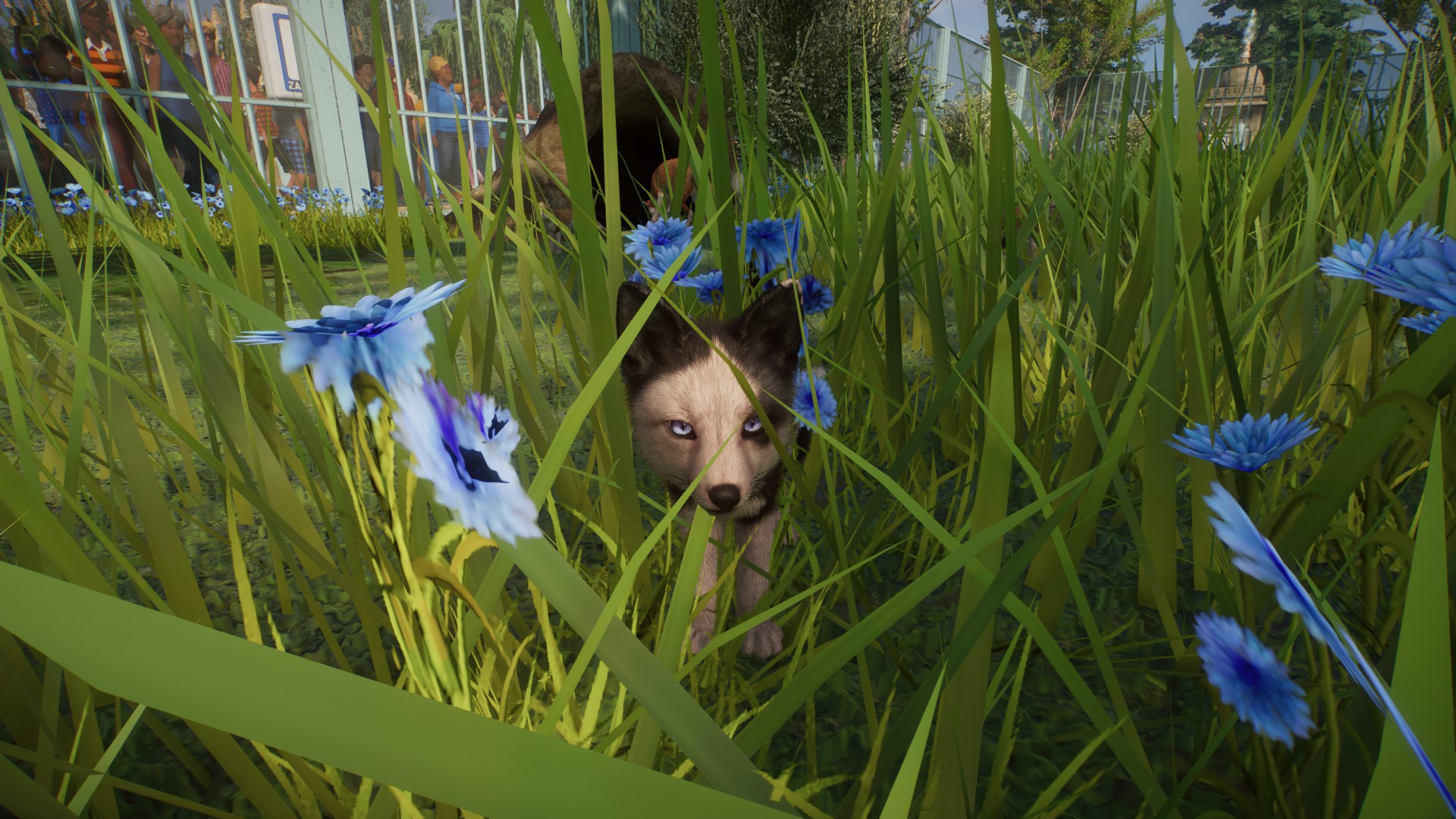 Zoo Screenshot.jpg