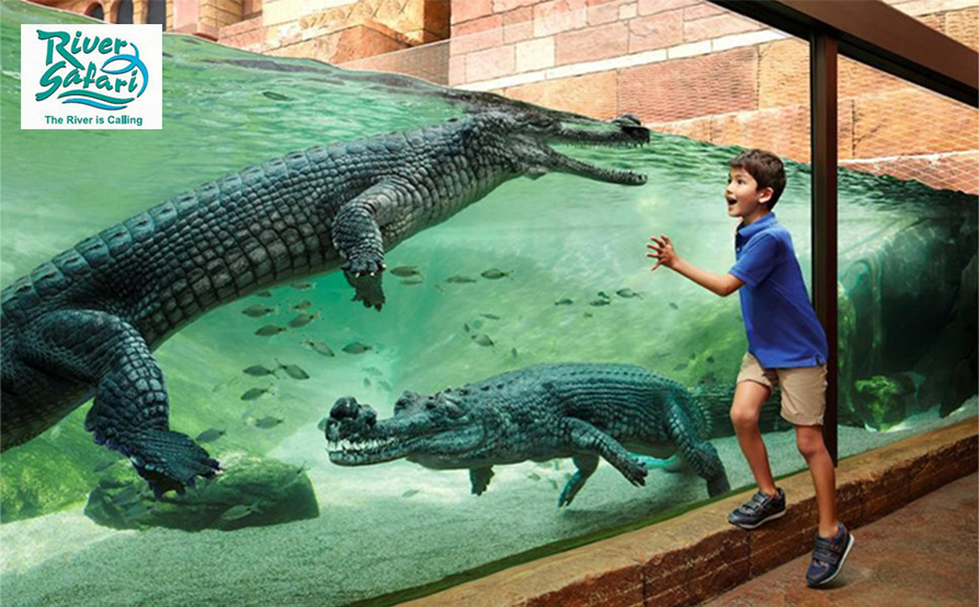 zoo4889.jpg