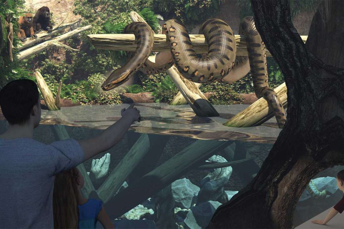zoo77777711.jpg