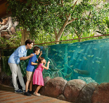 zoo977355.jpg