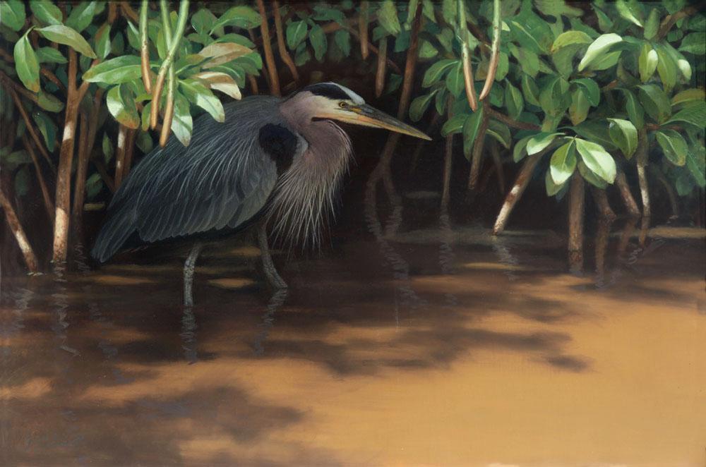 zooTheSneak-WaterBirds-1.jpg